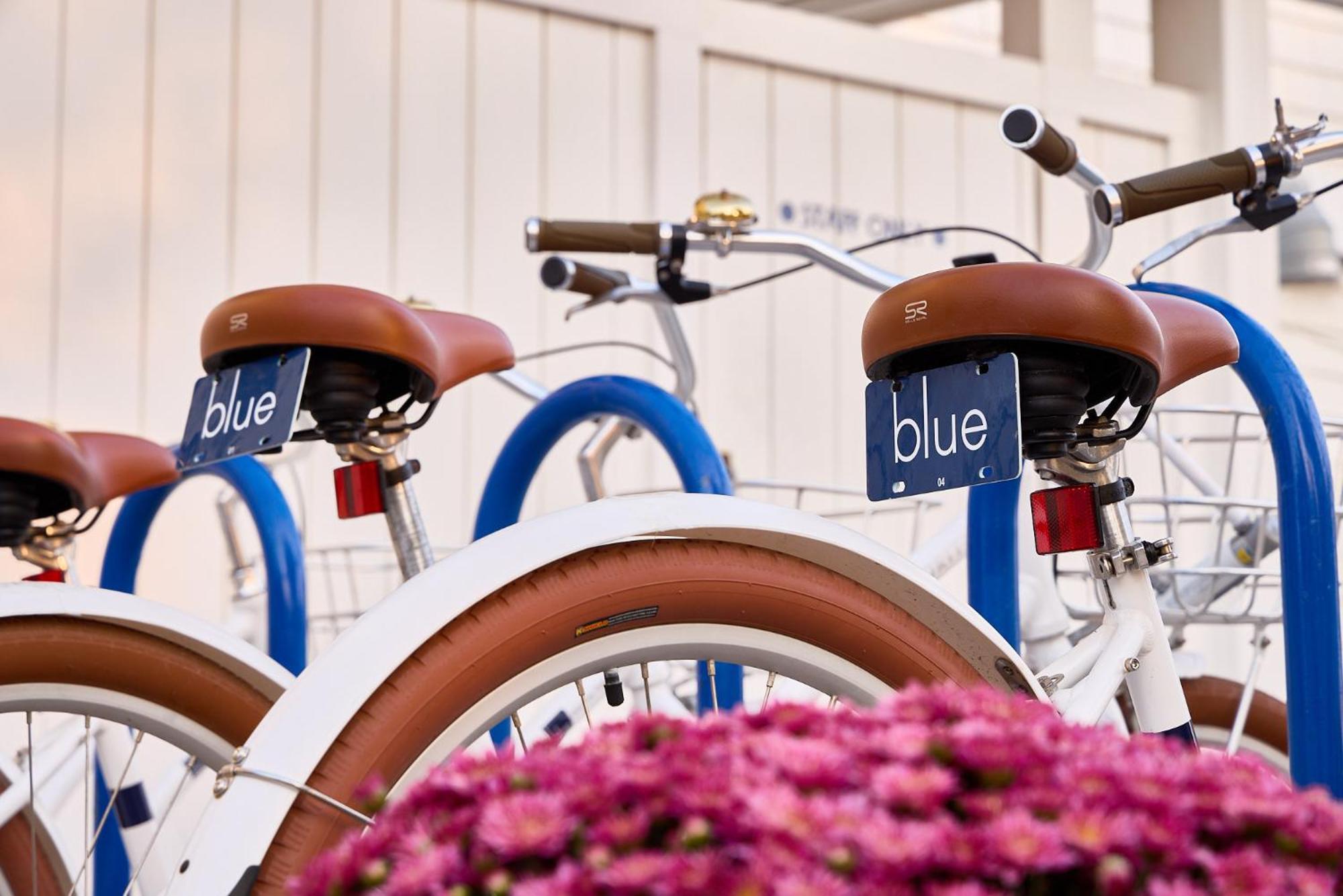 Blue - Inn On The Beach นิวเบอรีพอร์ต ภายนอก รูปภาพ